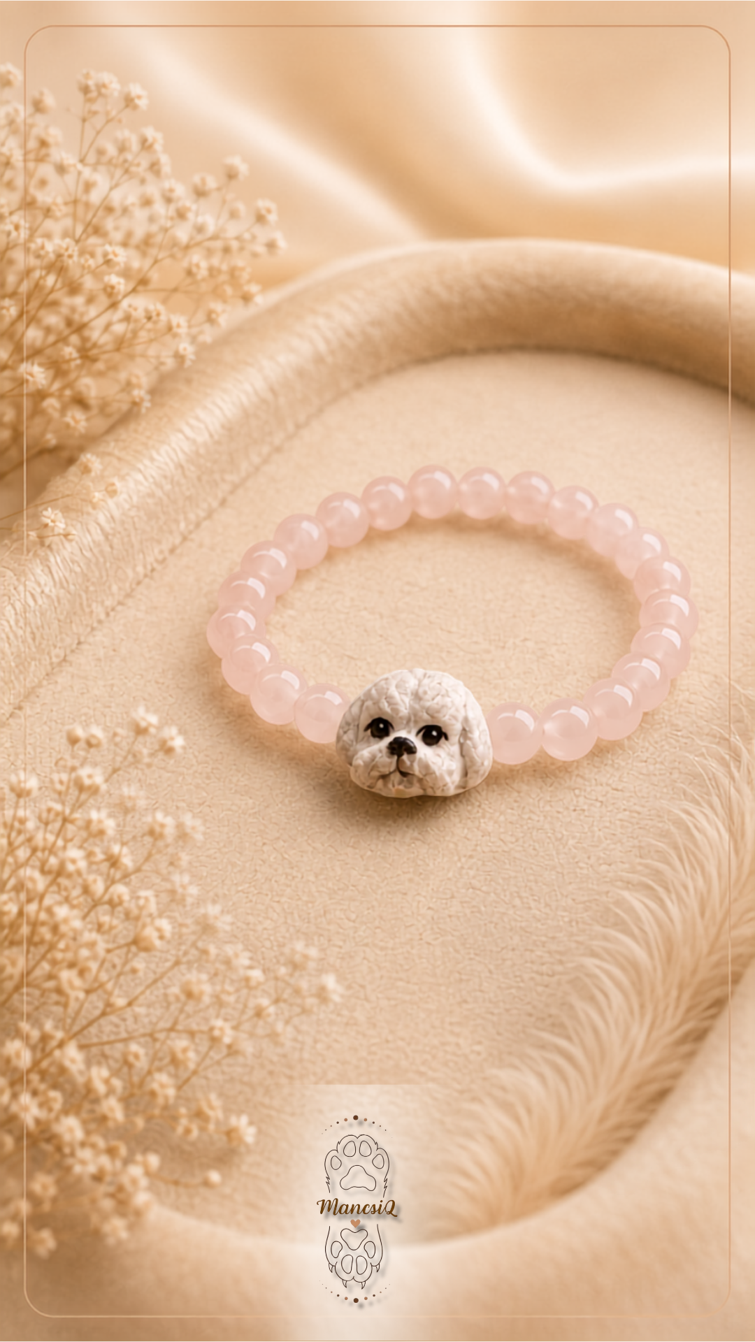 Bichon frisé MancsiQ